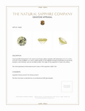 Jewelry Appraisal