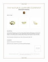 Jewelry Appraisal