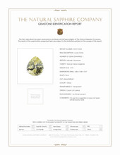 Jewelry Scan Report