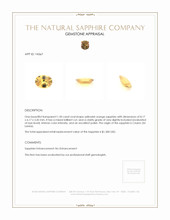 Jewelry Appraisal