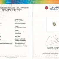 Jewelry Scan Report