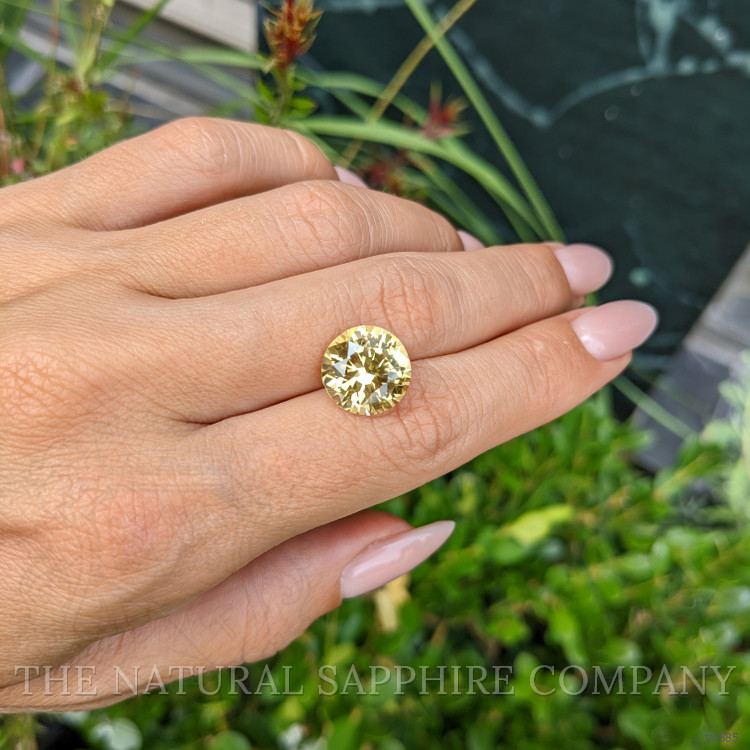 7.50 Ct. Yellow Sapphire from Ceylon (Sri Lanka)
