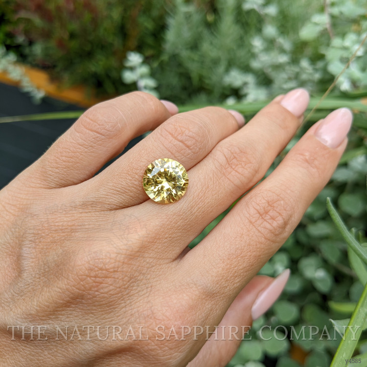 7.50 Ct. Yellow Sapphire from Ceylon (Sri Lanka)