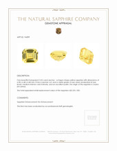 Jewelry Appraisal