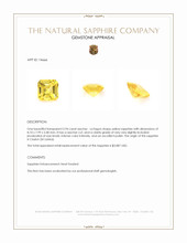 2.94 Ct. Yellow Sapphire from Ceylon (Sri Lanka) Appraisal