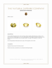 Jewelry Appraisal