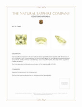 Jewelry Appraisal