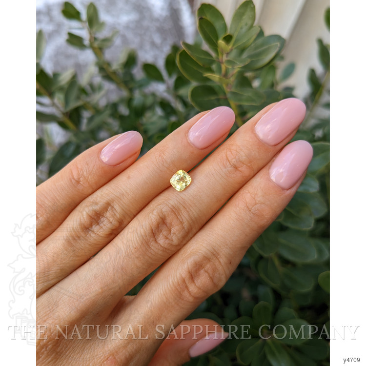 1.03 Ct. Yellow Sapphire from Ceylon (Sri Lanka)