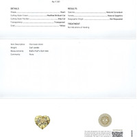 Jewelry Scan Report