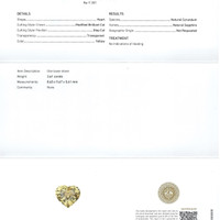 Jewelry Scan Report