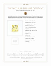 Jewelry Scan Report
