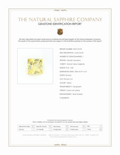 Jewelry Scan Report