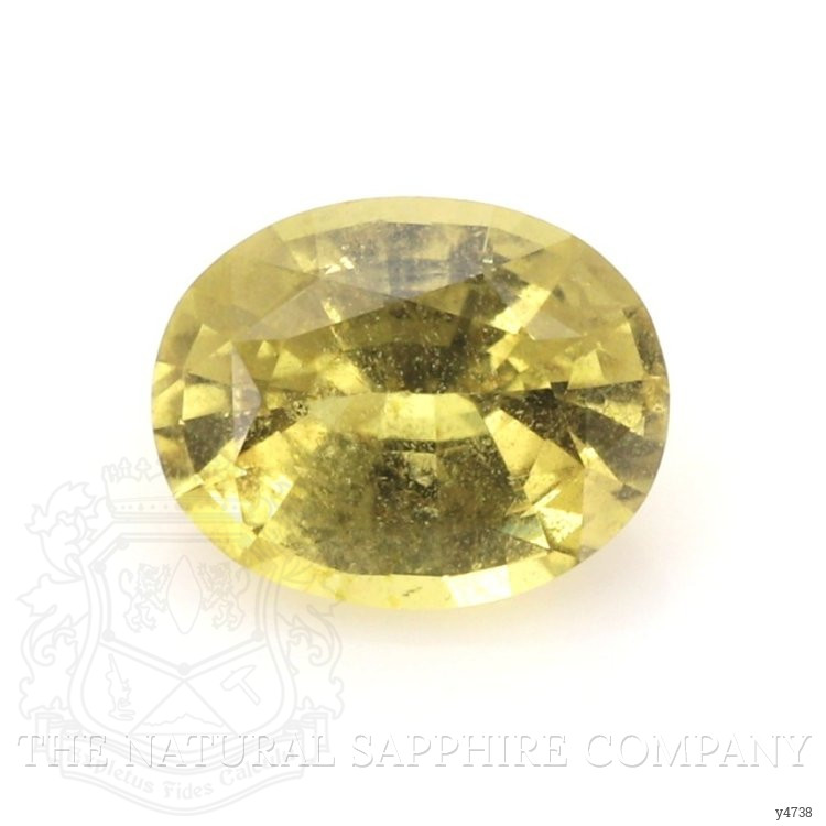 1.60 Ct. Greenish Yellow Sapphire from Ceylon (Sri Lanka)