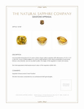 Jewelry Appraisal