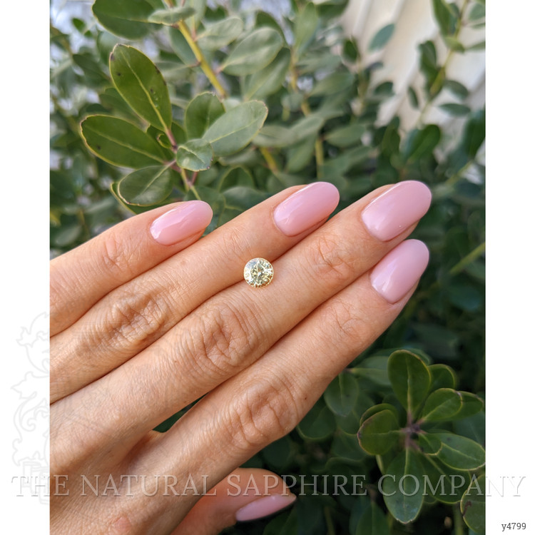 1.46 Ct. Yellow Sapphire from Ceylon (Sri Lanka)