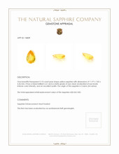 3.10 Ct. Yellow Sapphire from Ceylon (Sri Lanka) Appraisal