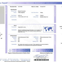 Jewelry Scan Report