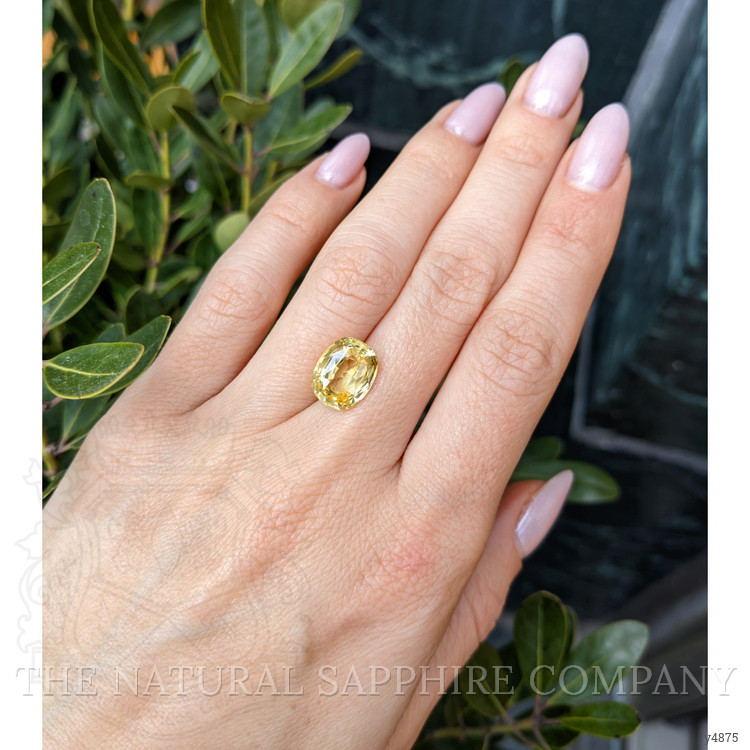 5.46 Ct. Yellow Sapphire from Ceylon (Sri Lanka)