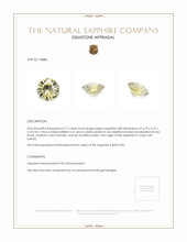 Jewelry Appraisal