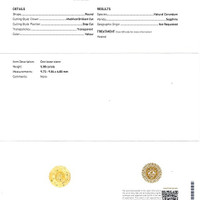 Jewelry Scan Report
