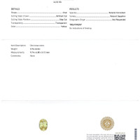 Jewelry Scan Report