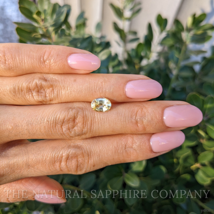 1.70 Ct. Yellow Sapphire from Ceylon (Sri Lanka)