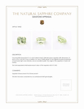 Jewelry Appraisal
