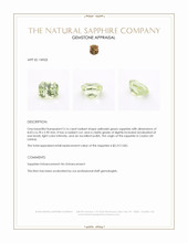 Jewelry Appraisal