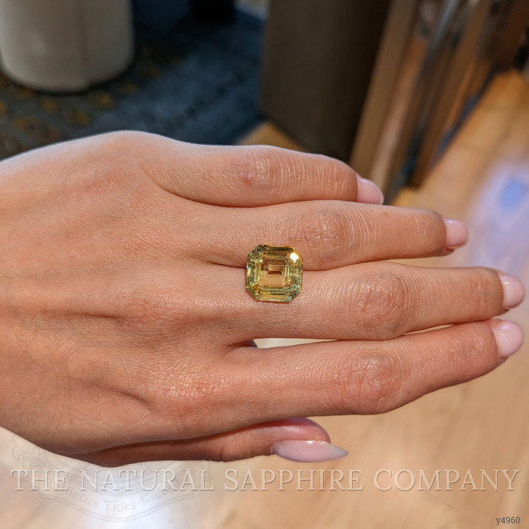 10.02 Ct. Yellow Sapphire from Ceylon (Sri Lanka)