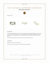 Jewelry Appraisal