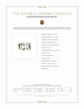 Jewelry Scan Report