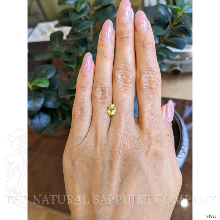 1.67 Ct. Yellow Sapphire from Ceylon (Sri Lanka)
