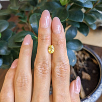 1.67 Ct. Yellow Sapphire from Ceylon (Sri Lanka) Life Style