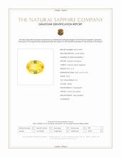 Jewelry Scan Report
