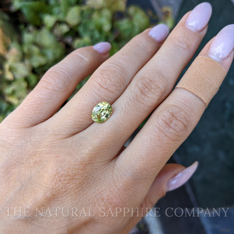 2.30 Ct. Greenish Yellow Sapphire from Madagascar