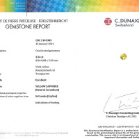 Jewelry Scan Report