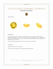 3.78 Ct. Yellow Sapphire from Ceylon (Sri Lanka) Appraisal