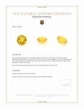 3.53 Ct. Yellow Sapphire from Ceylon (Sri Lanka) Appraisal
