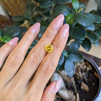 4.19 Ct. Yellow Sapphire from Ceylon (Sri Lanka) Life Style