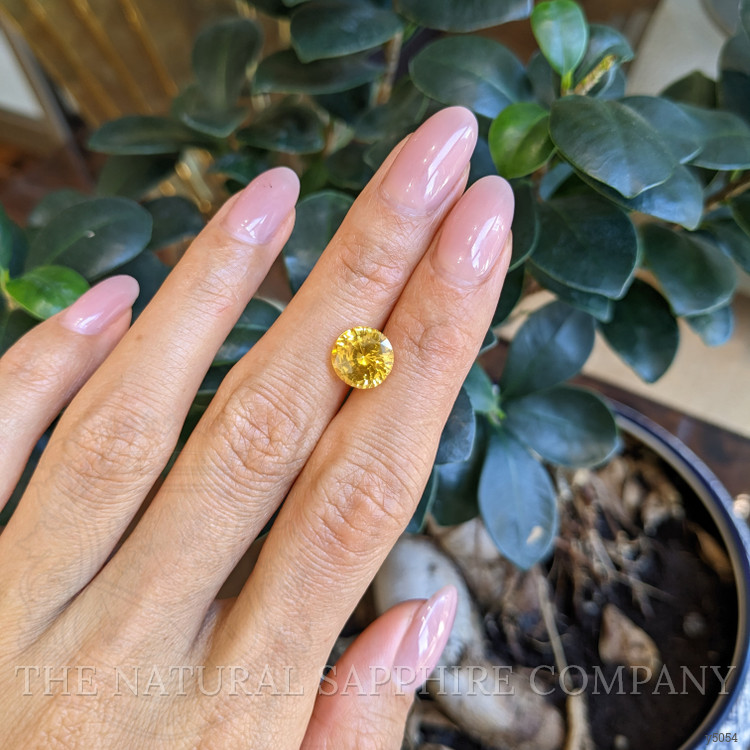 4.19 Ct. Yellow Sapphire from Ceylon (Sri Lanka)