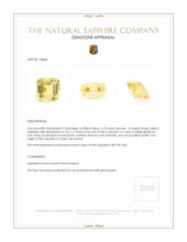 6.74 Ct. Yellow Sapphire from Ceylon (Sri Lanka) Appraisal