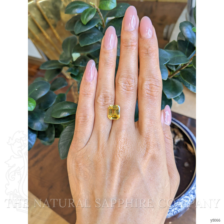 5.06 Ct. Yellow Sapphire from Ceylon (Sri Lanka)