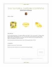 10.20 Ct. Yellow Sapphire from Ceylon (Sri Lanka) Appraisal