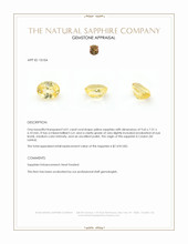 4.01 Ct. Yellow Sapphire from Ceylon (Sri Lanka) Appraisal
