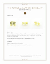 Jewelry Appraisal