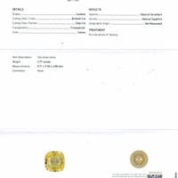 Jewelry Scan Report