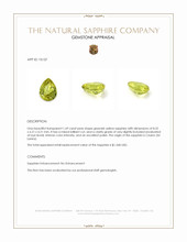 Jewelry Appraisal