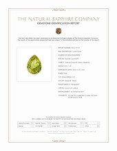 Jewelry Scan Report