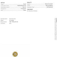 Jewelry Scan Report