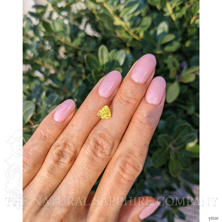 1.56 Ct. Yellow Sapphire from Ceylon (Sri Lanka)